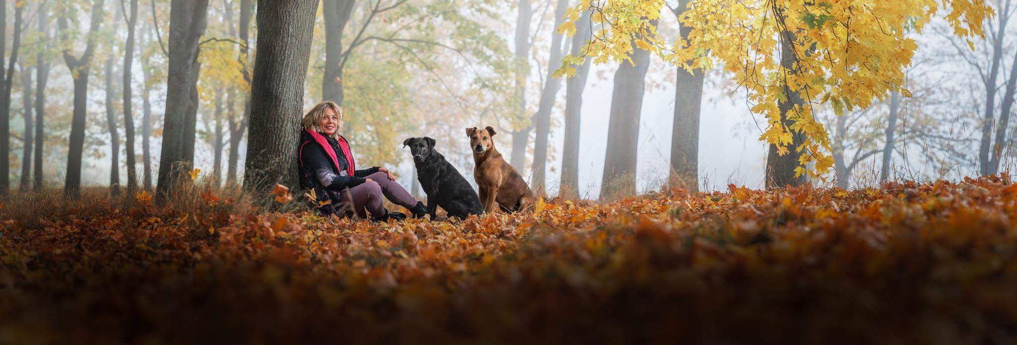 stowarzyszenie letri psy i my jesteśmy razem z psami
